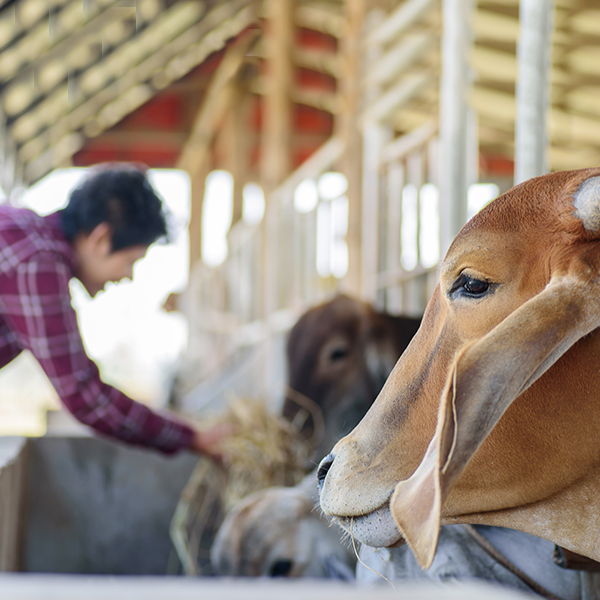  (COPY) (COPY) (COPY) (COPY) (COPY) (COPY) (COPY) (COPY) (COPY) (COPY) (COPY) (COPY) (COPY) (COPY) (COPY) (COPY) (COPY) (COPY) (COPY) (COPY) (COPY) (COPY) (COPY) (COPY) (COPY) (COPY) (COPY) (COPY) (COPY) (COPY) (COPY) (COPY)