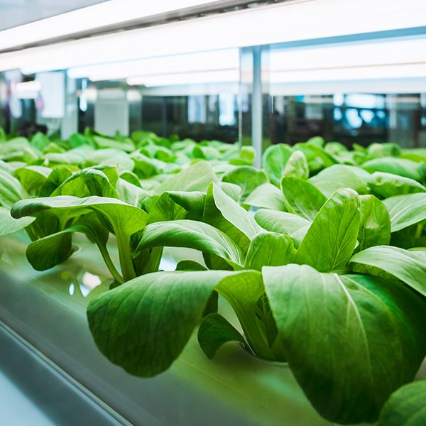  (COPY) (COPY) (COPY) (COPY) (COPY) (COPY) (COPY) (COPY) (COPY) (COPY) (COPY) (COPY) (COPY) (COPY) (COPY) (COPY) (COPY) (COPY) (COPY) (COPY) (COPY) (COPY) (COPY) (COPY) (COPY) (COPY) (COPY) (COPY) (COPY) (COPY) (COPY)